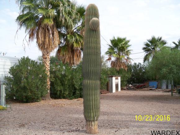 44111 Winter st., Bouse, AZ 85325