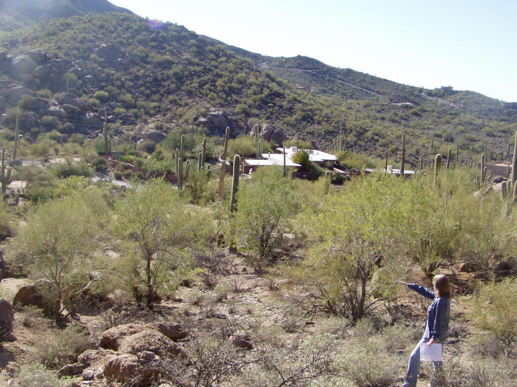 6644 E MILITARY Road, Cave Creek, AZ 85331
