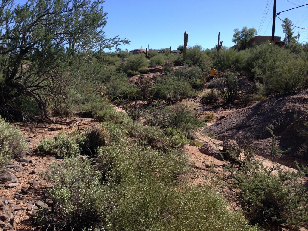 67xx E Skyline Drive, Cave Creek, AZ 85331