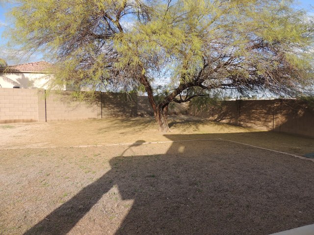 11522 W Poinsettia DrEl Mirage, AZ, 85335Maricopa County