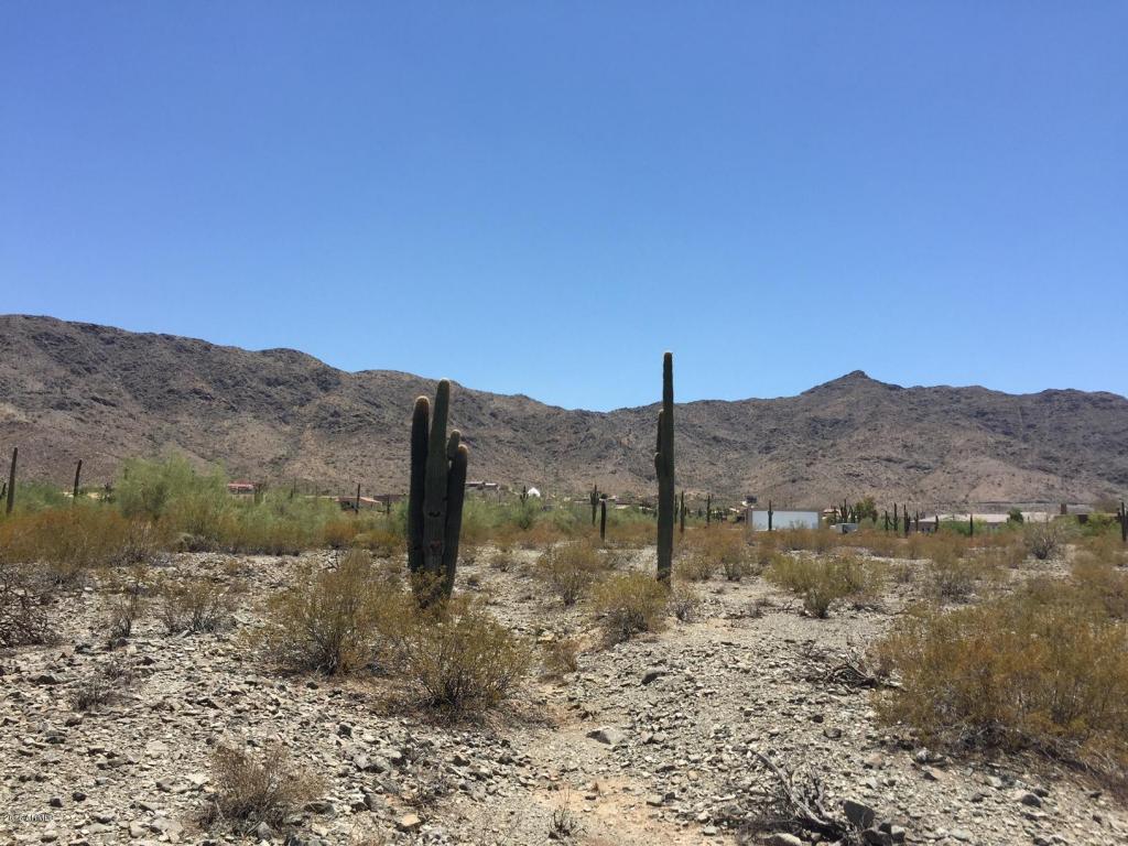 28 W SUNRISE Drive, Laveen, AZ 85339