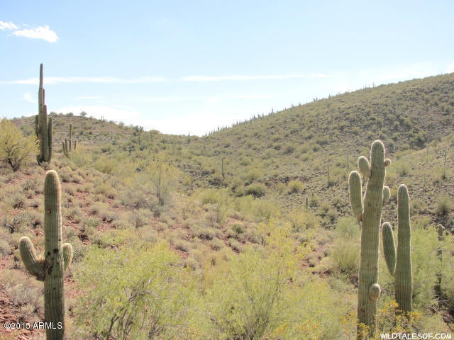 0 N Lake Pleasant Road, Morristown, AZ 85342