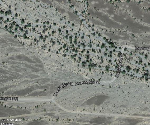 6300 E Mockingbird Street, Quartzsite, AZ 85346
