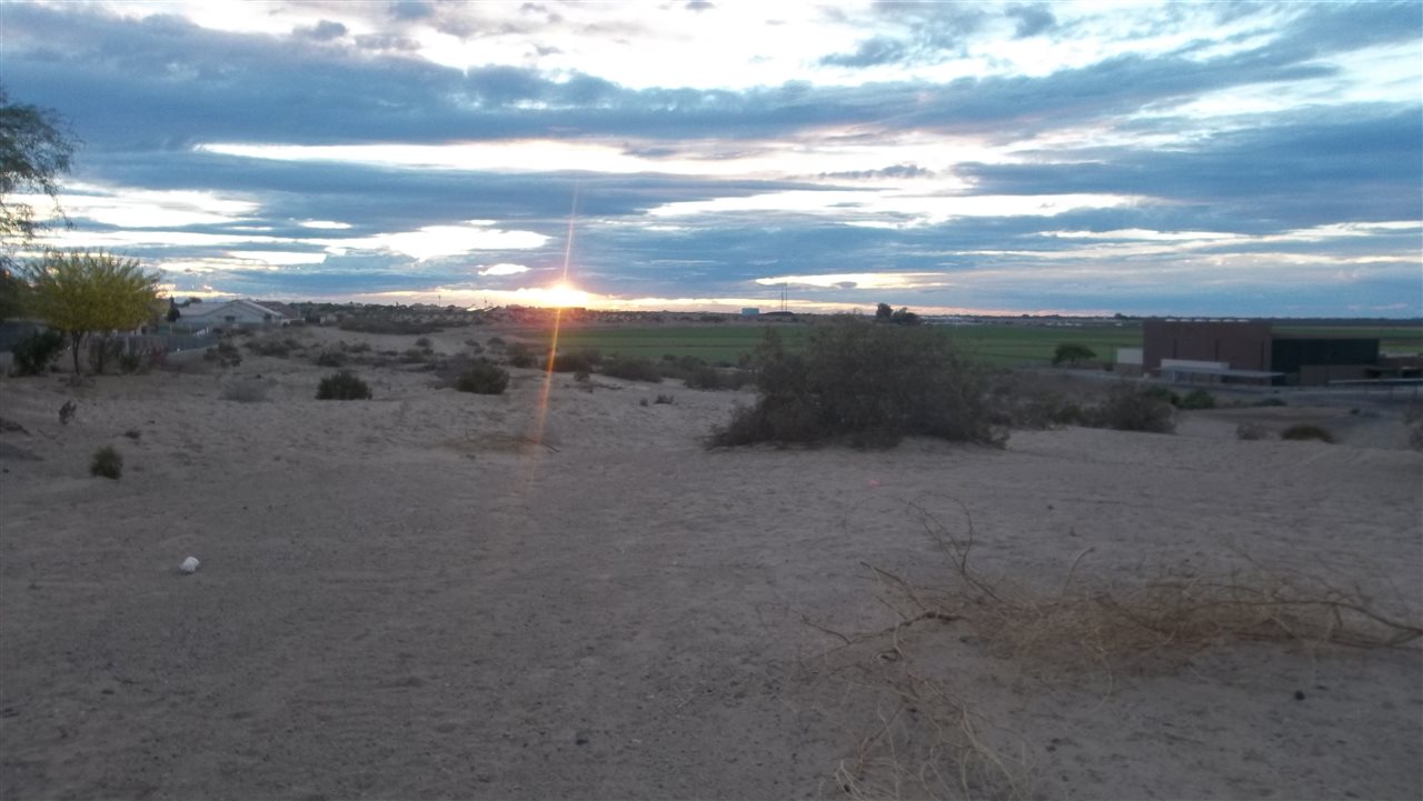 1672 E AMERICA ST, San Luis, AZ 85349