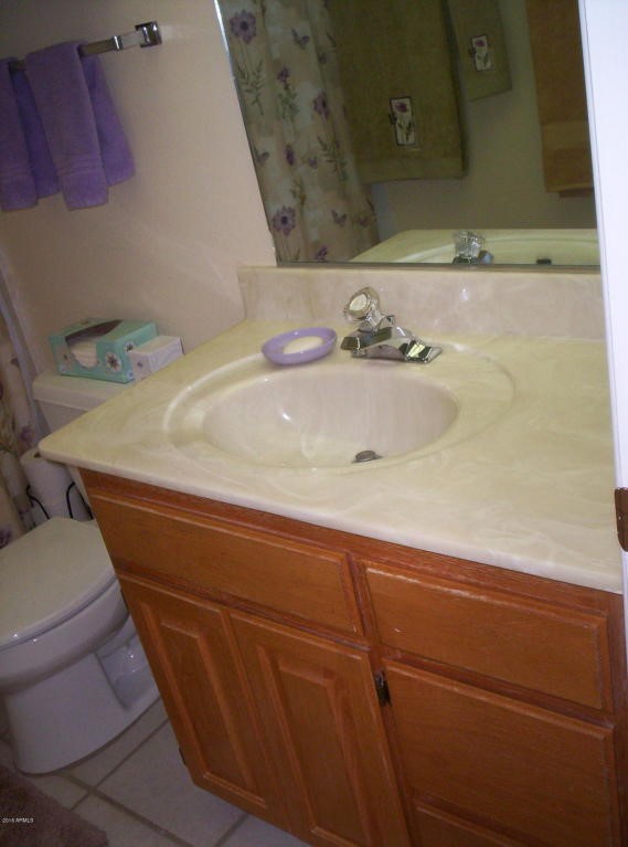 10136 W Sahara Drive, Sun City, AZ 85351