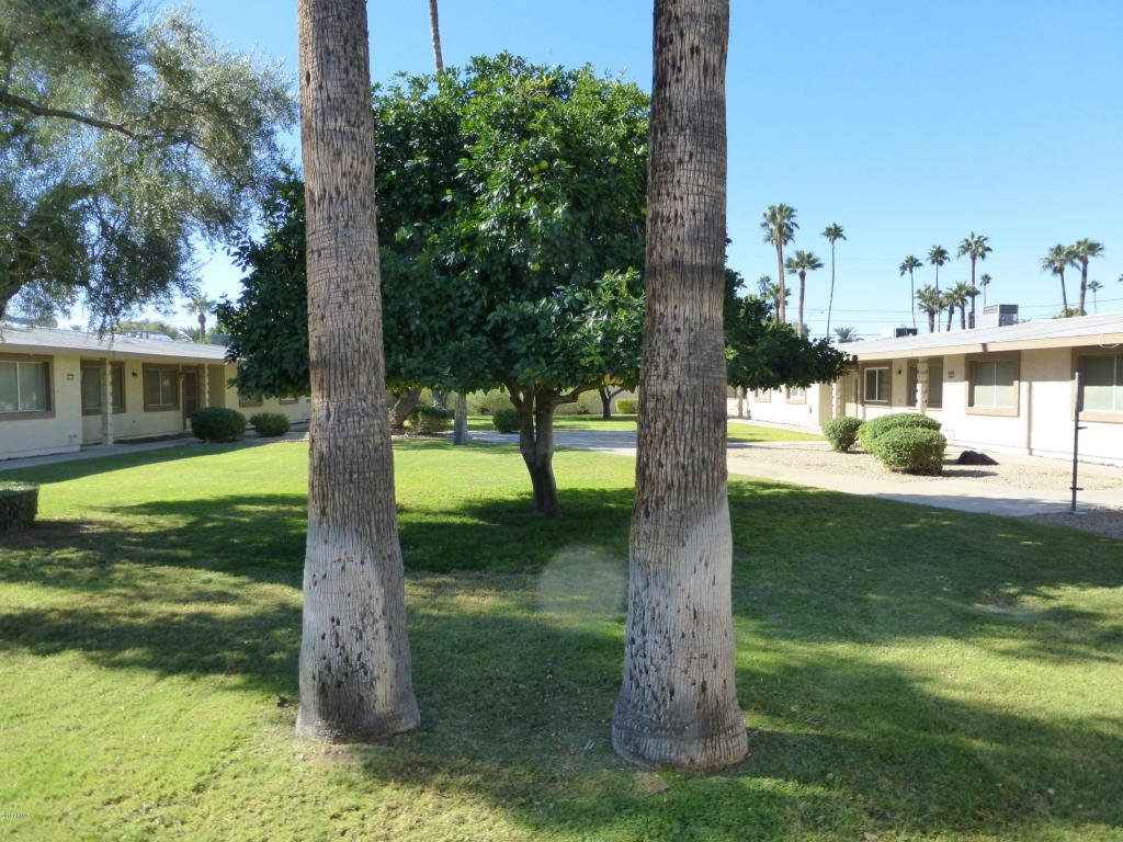 10573 W Coggins Drive, Sun City, AZ 85351