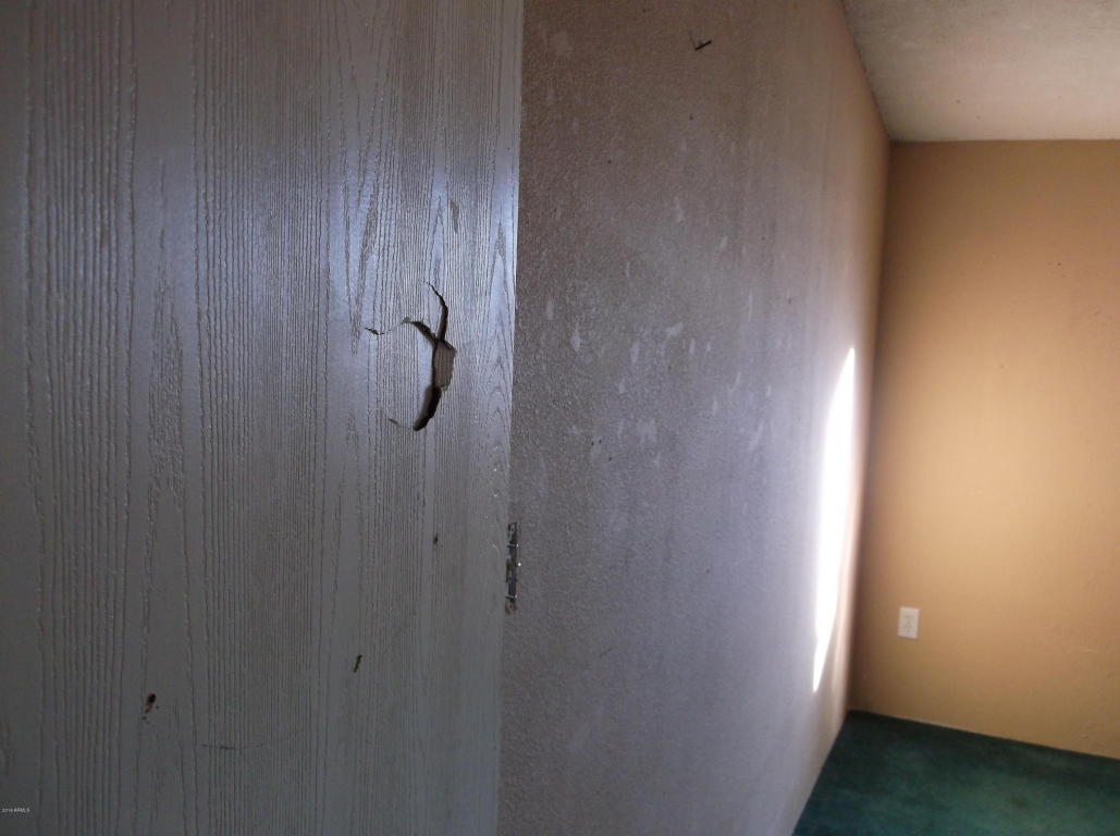 36608 W LOWER BUCKEYE Road, Tonopah, AZ 85354
