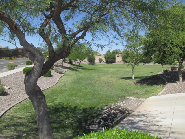 23436 N El Frio CtSun City, AZ, 85373Maricopa County