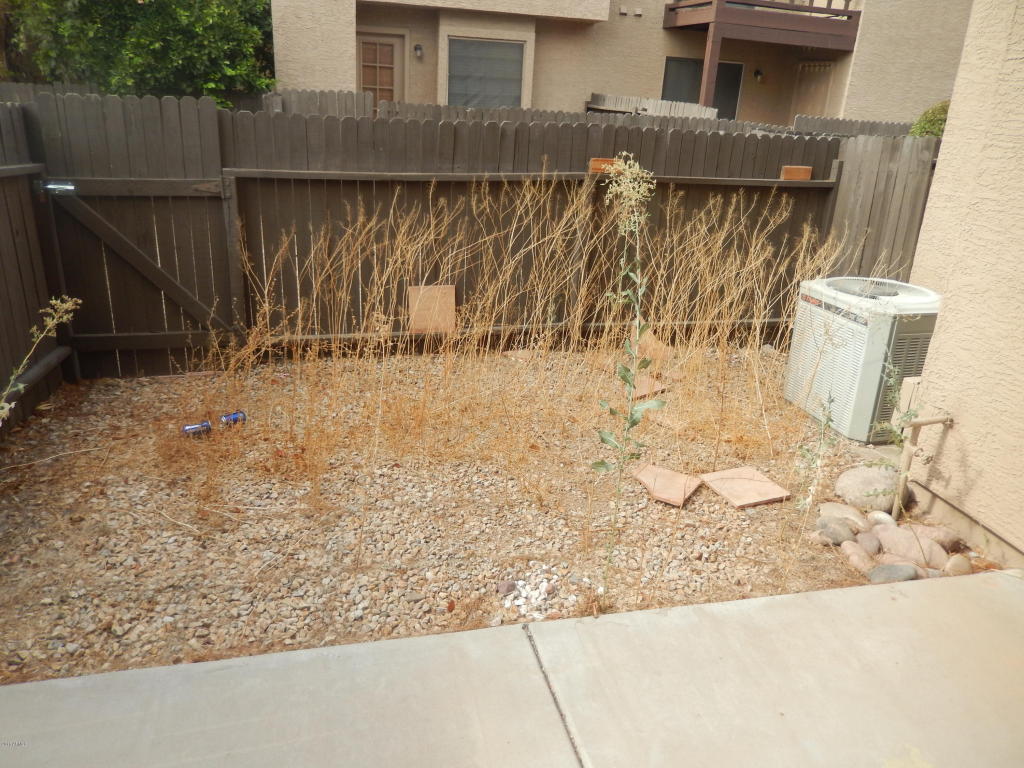 7905 W THUNDERBIRD Road, Peoria, AZ 85381