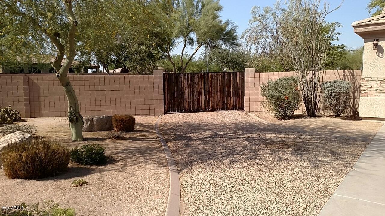 24037 N 81st Drive, Peoria, AZ 85383