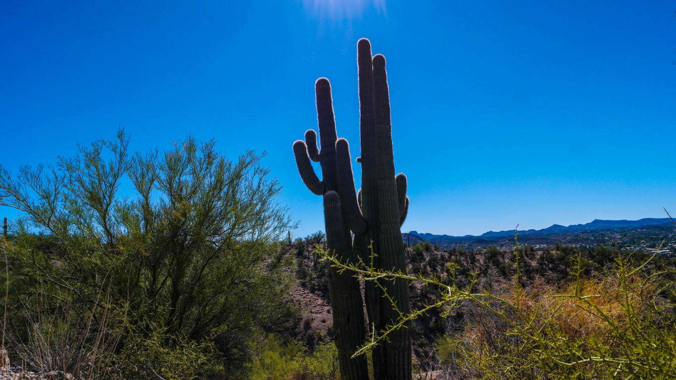 715 N Constellation Road, Wickenburg, AZ 85390