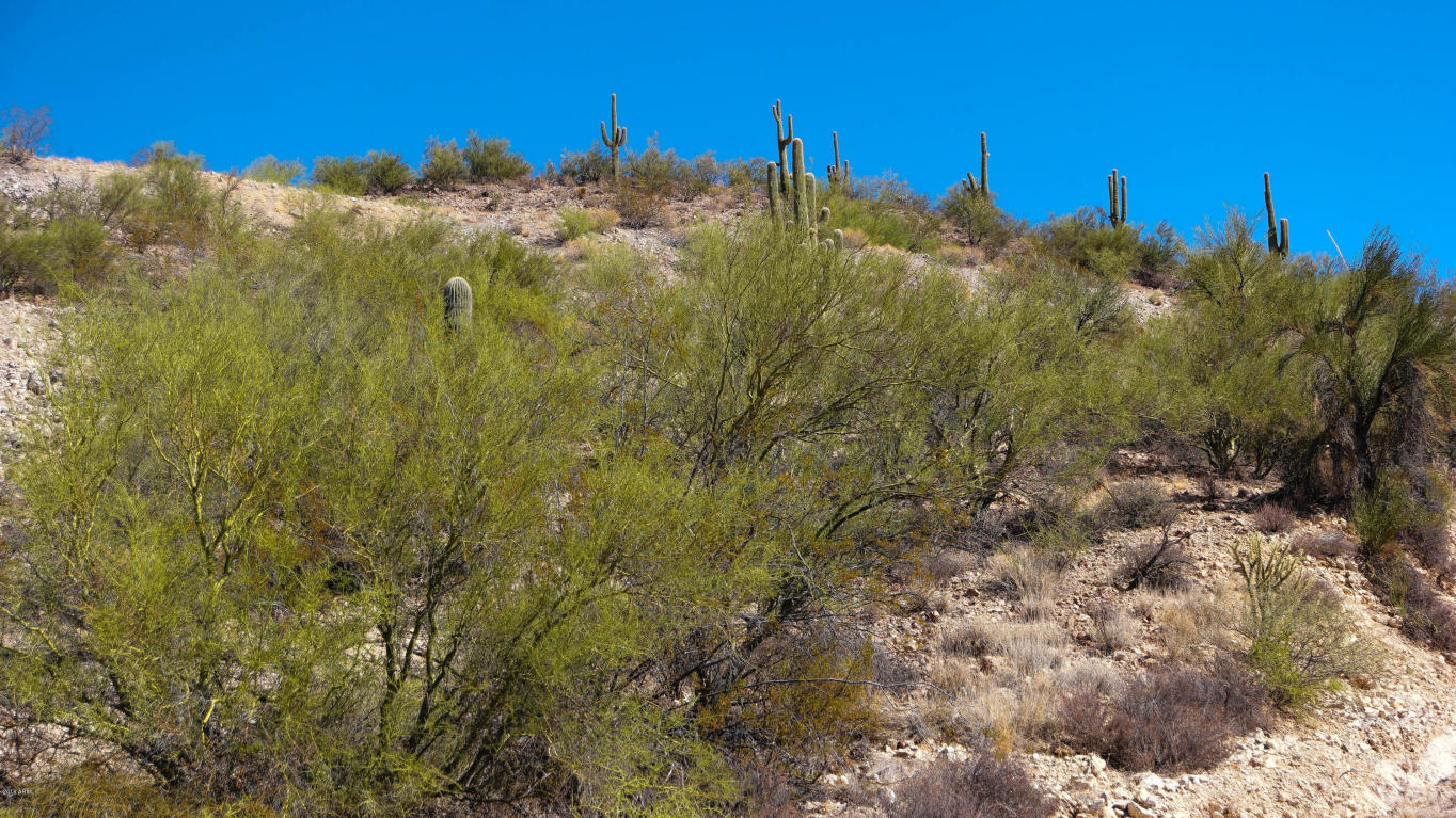 715 N Constellation Road, Wickenburg, AZ 85390