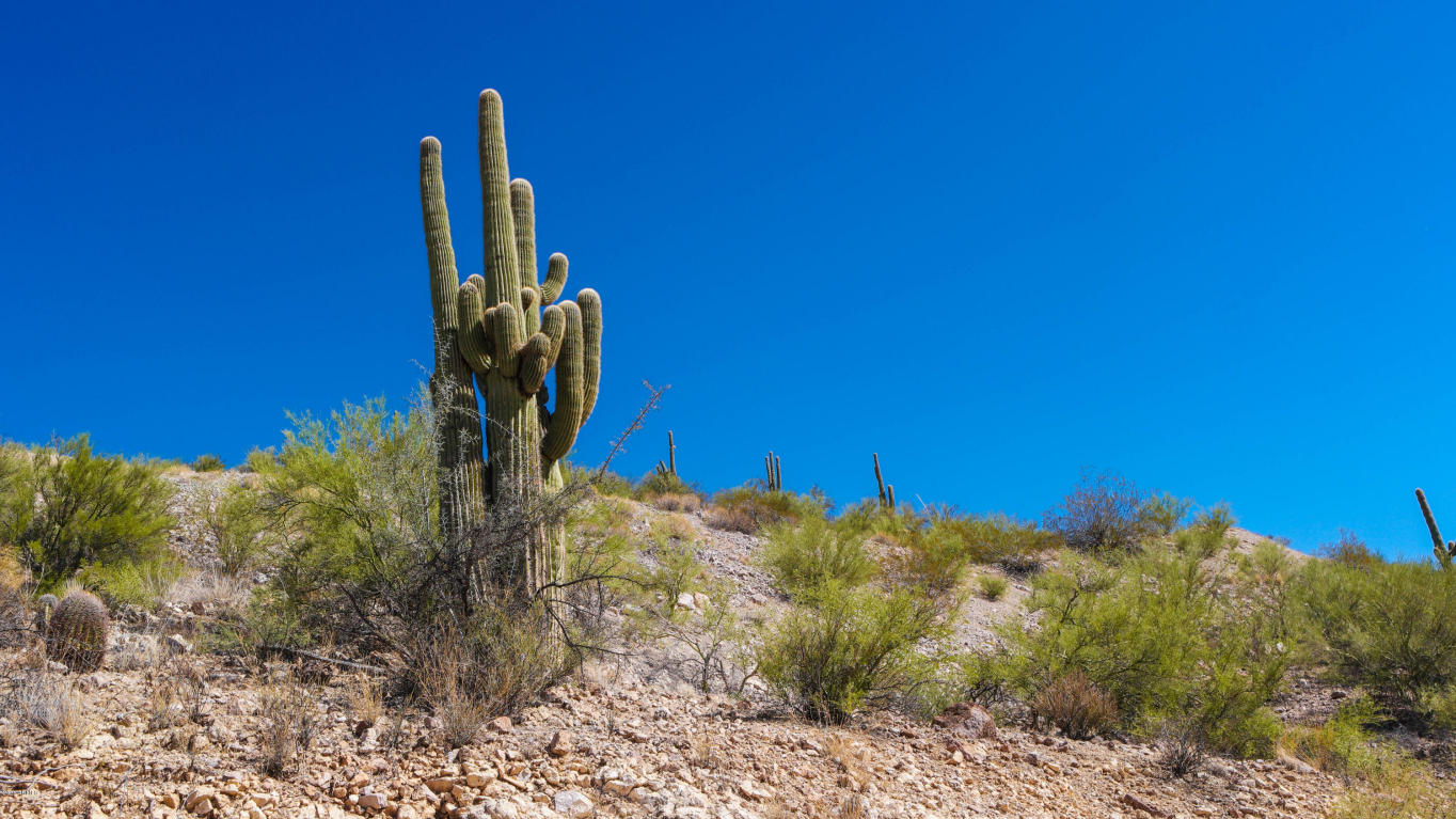 715 N Constellation Road, Wickenburg, AZ 85390
