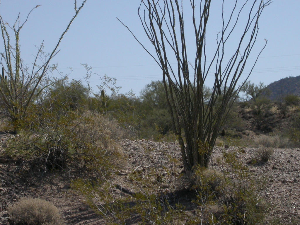 20750 W CREOSOTE Lane, Wickenburg, AZ 85390