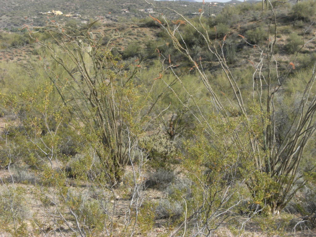 17065 W TELLIER Trail, Wickenburg, AZ 85390