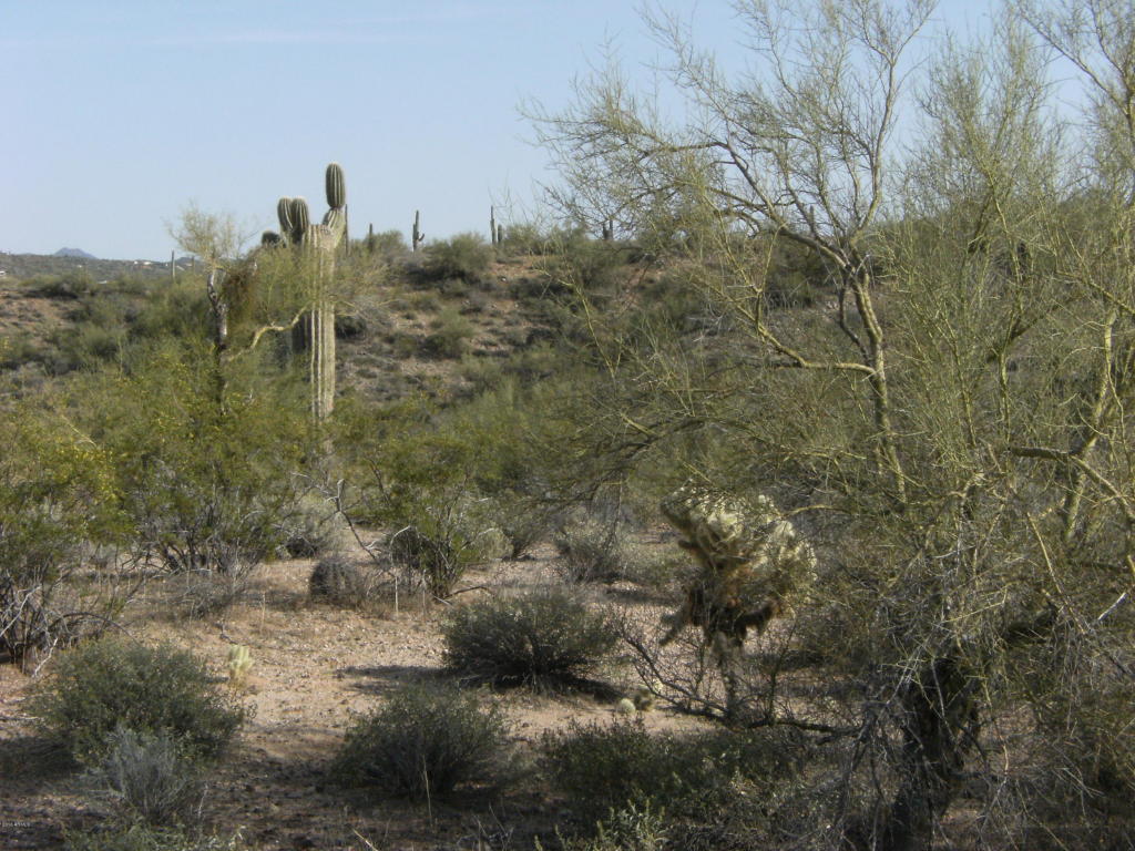 17065 W TELLIER Trail, Wickenburg, AZ 85390