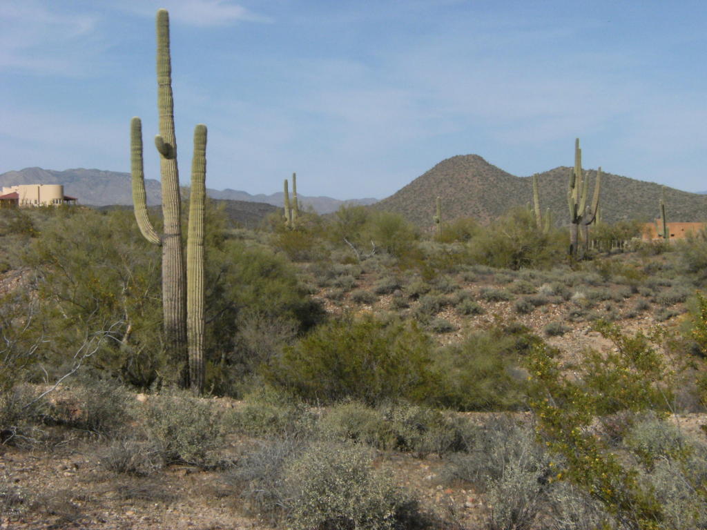 17065 W TELLIER Trail, Wickenburg, AZ 85390