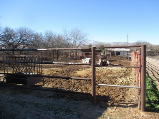 54 Frontage Road, York Valley, AZ 85534