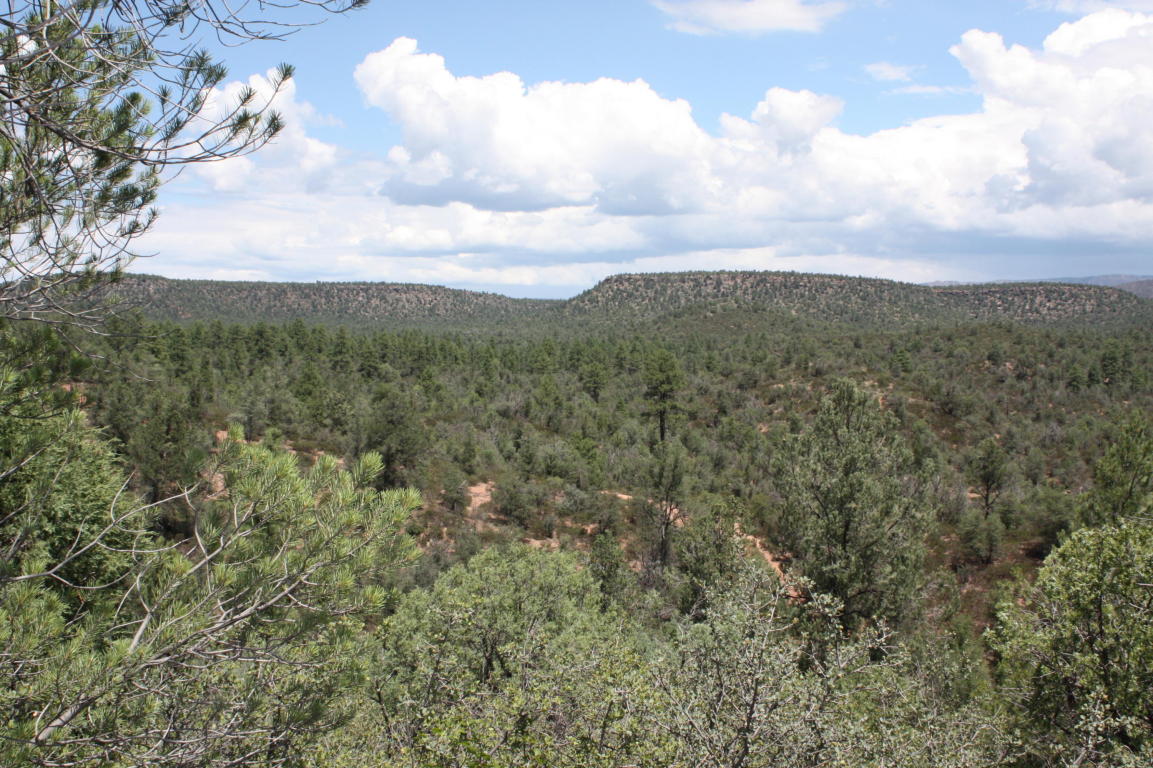0 E Buckskin Ln, Payson, AZ 85541