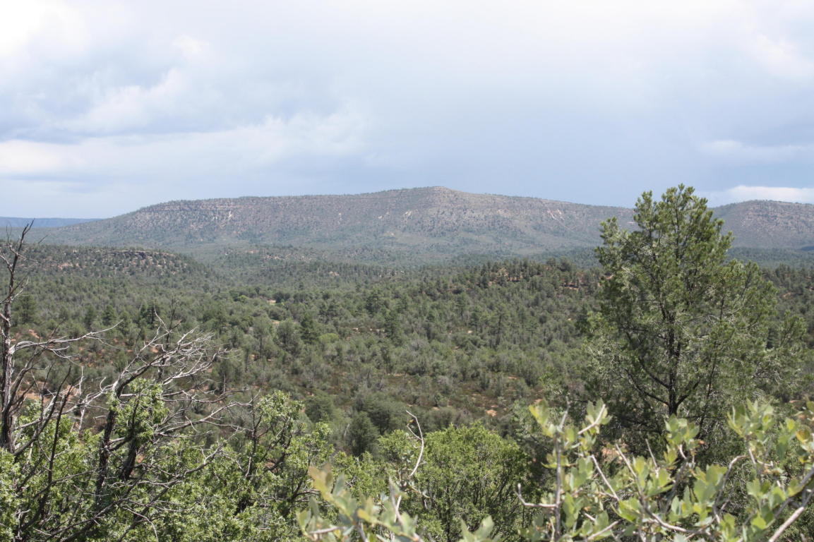 0 E Buckskin Ln, Payson, AZ 85541