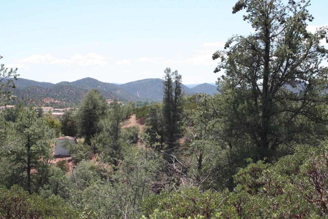 0 E Buckskin Ln, Payson, AZ 85541