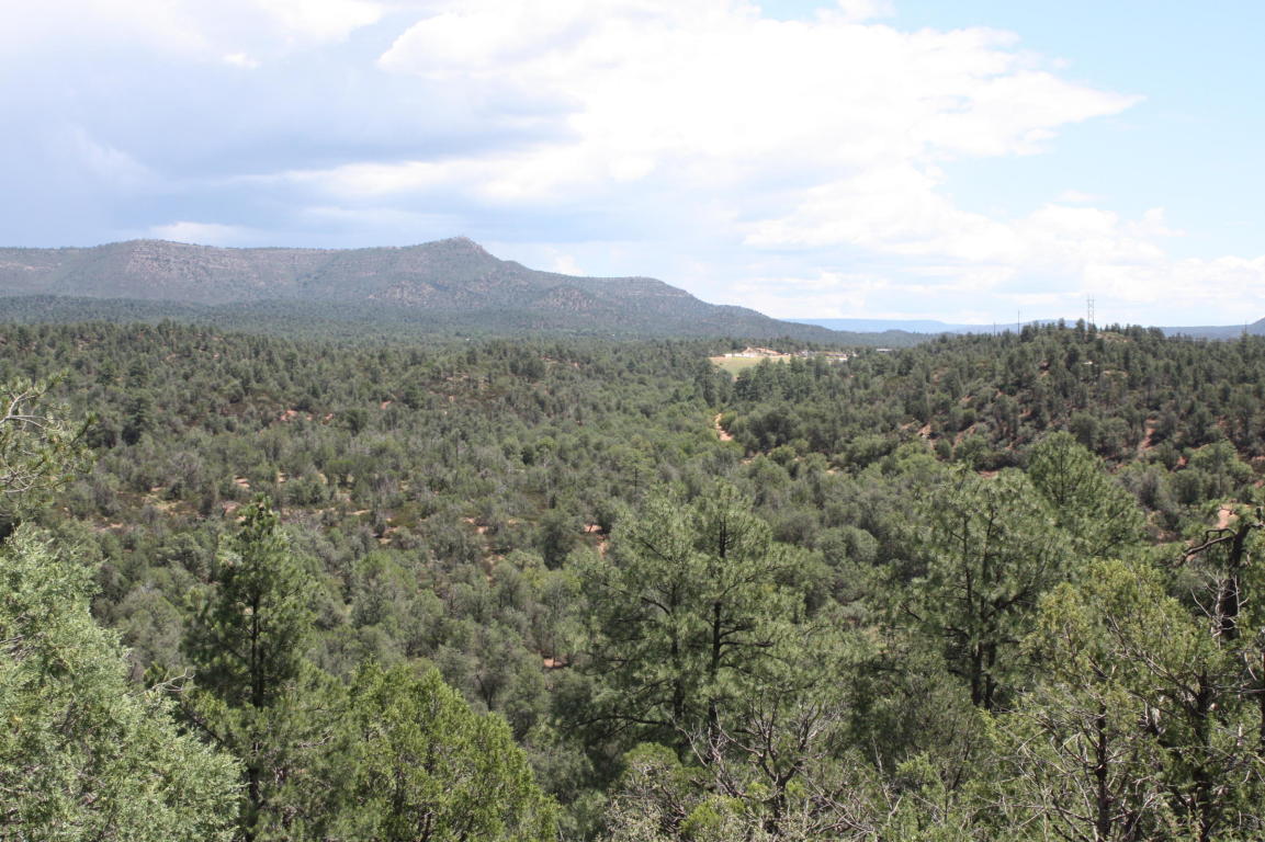 0 E Buckskin Ln, Payson, AZ 85541