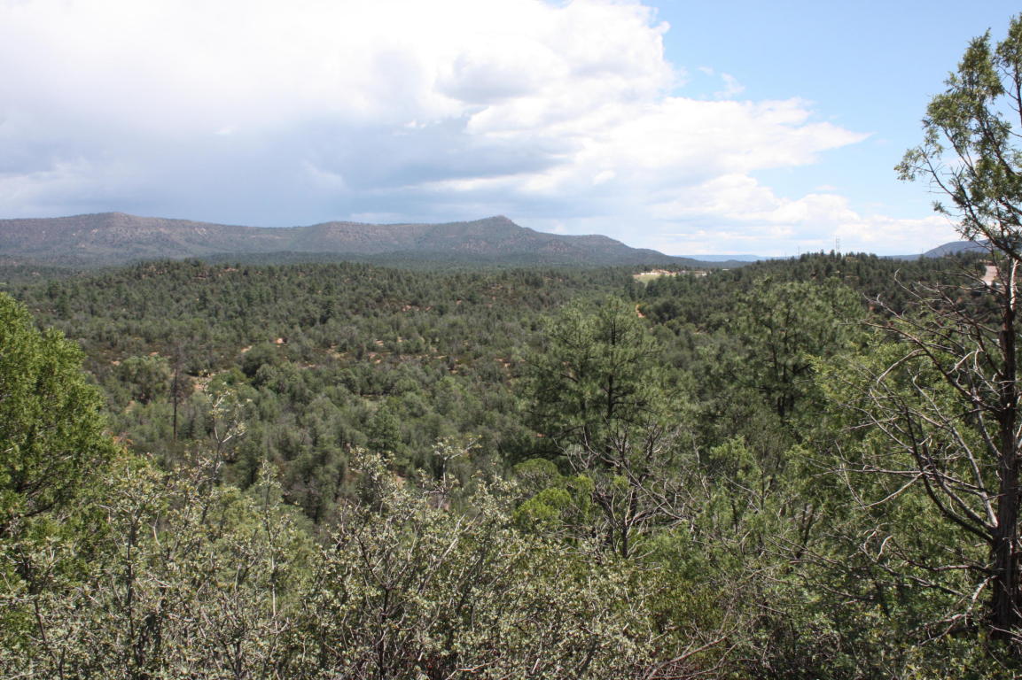 0 E Buckskin Ln, Payson, AZ 85541