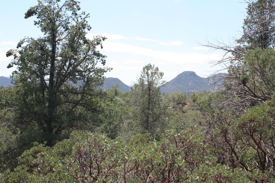 0 E Buckskin Ln, Payson, AZ 85541