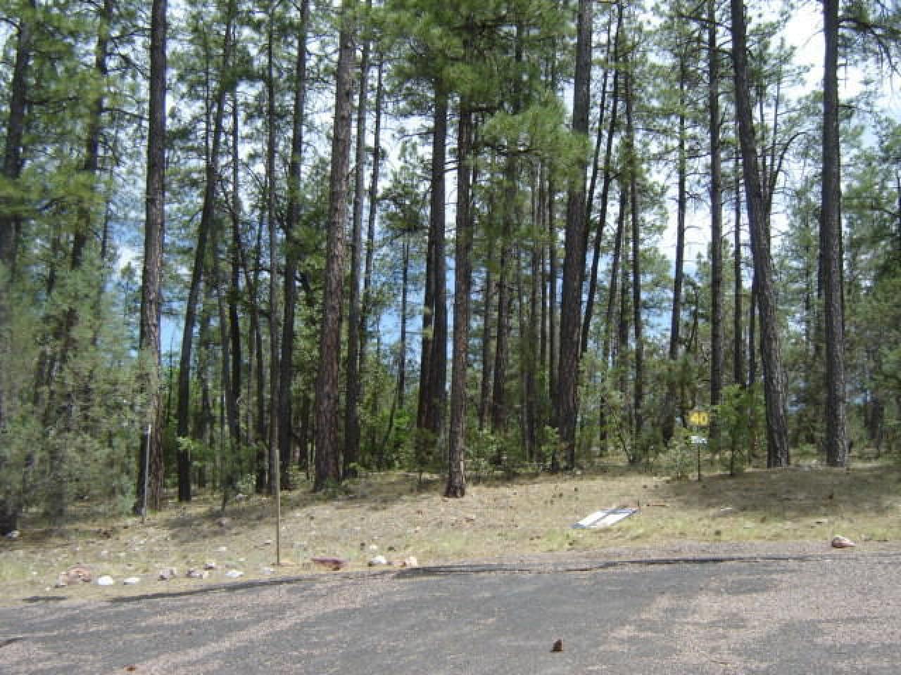 Lot 40 Wipila Wiki Drive, Payson, AZ 85541