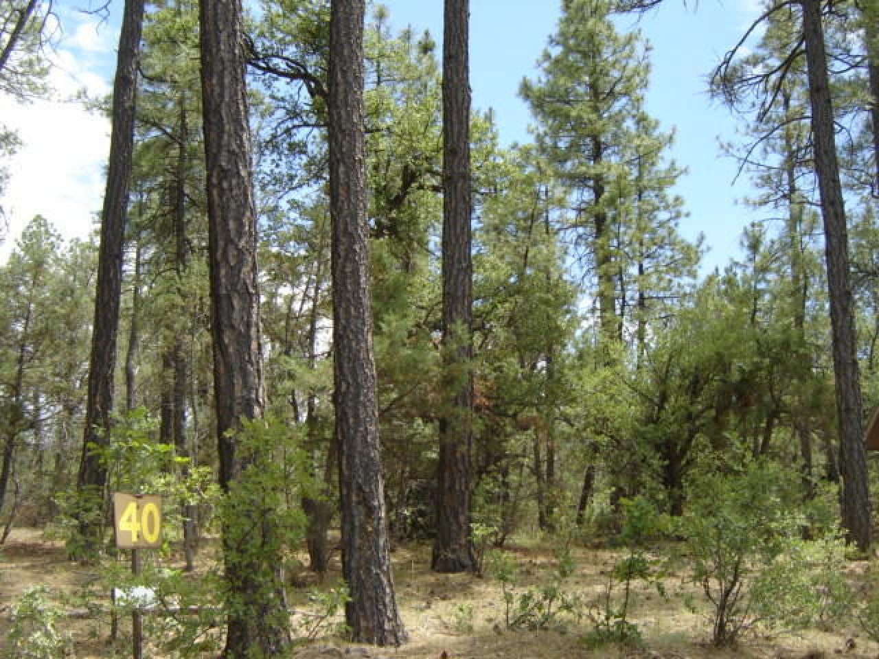 Lot 40 Wipila Wiki Drive, Payson, AZ 85541