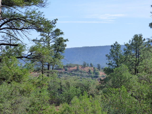 39 E Saddleback Trl, Star Valley, AZ 85541