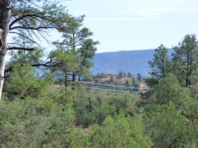 39 E Saddleback Trl, Star Valley, AZ 85541