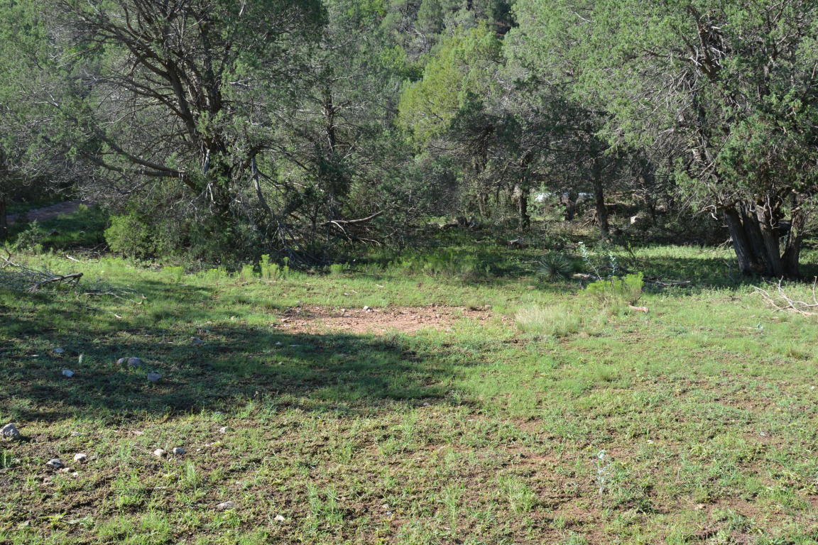 288 N Flowing Springs, Payson, AZ 85541