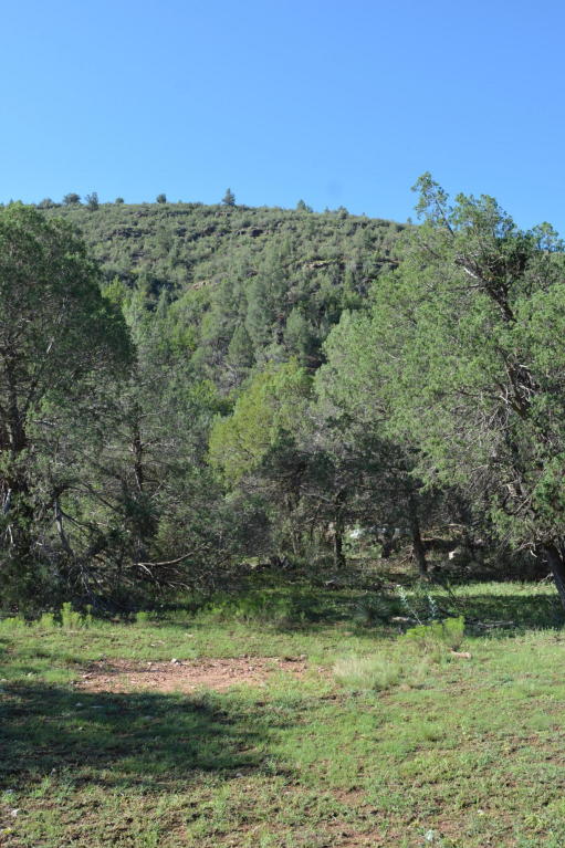 288 N Flowing Springs, Payson, AZ 85541