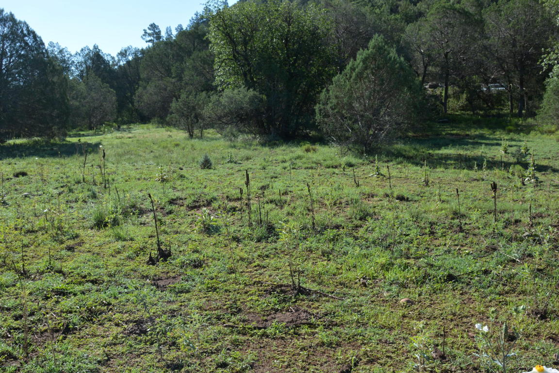 288 N Flowing Springs, Payson, AZ 85541