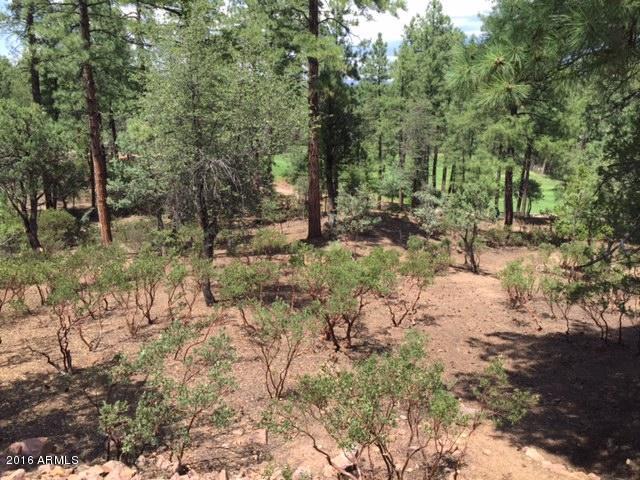 2406 E INDIAN PINK Circle, Payson, AZ 85541
