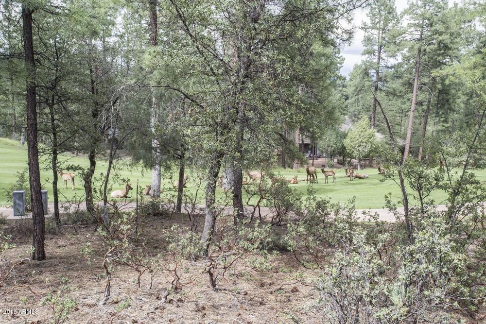 2406 E INDIAN PINK Circle, Payson, AZ 85541