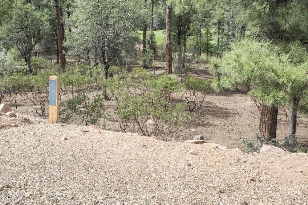 2406 E INDIAN PINK Circle, Payson, AZ 85541
