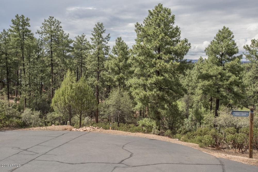 2406 E INDIAN PINK Circle, Payson, AZ 85541