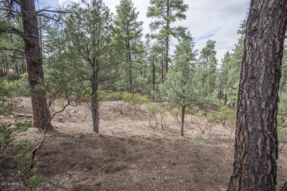 2406 E INDIAN PINK Circle, Payson, AZ 85541