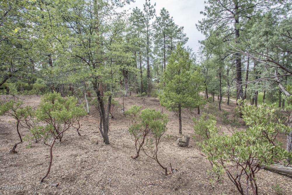 2406 E INDIAN PINK Circle, Payson, AZ 85541