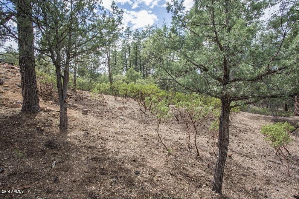 2406 E INDIAN PINK Circle, Payson, AZ 85541