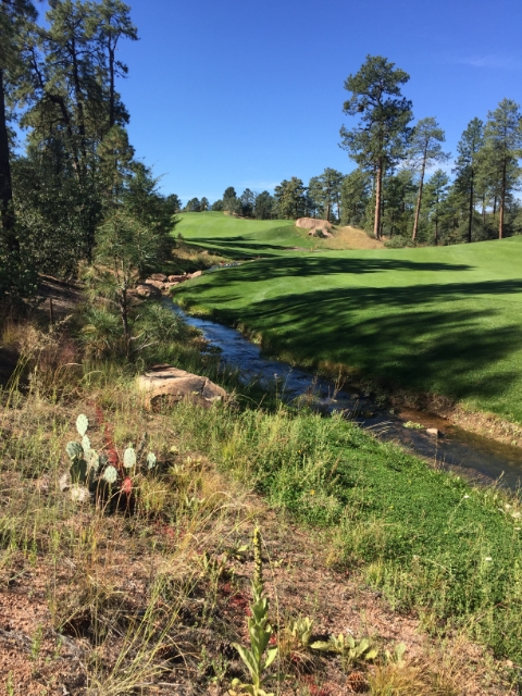 602 S PINE STRM Stream, Payson, AZ 85541