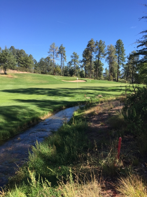 602 S PINE STRM Stream, Payson, AZ 85541