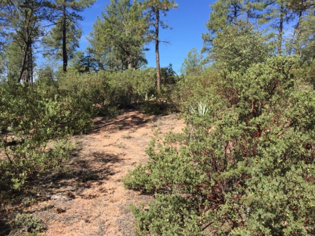 602 S PINE STRM Stream, Payson, AZ 85541