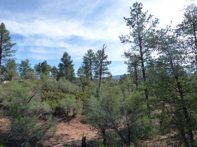 55 W Monument Trl, Star Valley, AZ 85541