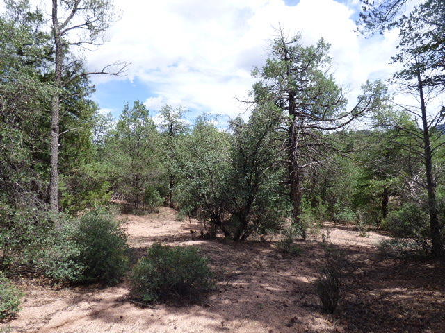 55 W Monument Trl, Star Valley, AZ 85541