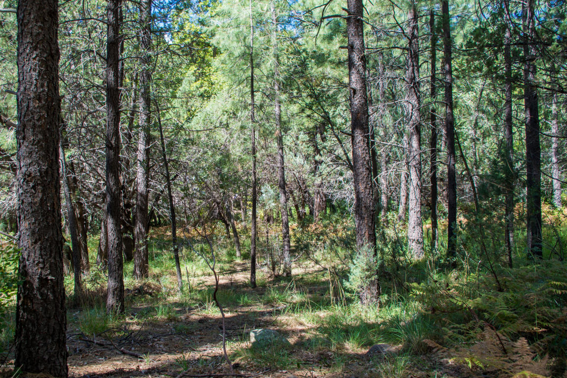 535 N Rim Trail Road, Payson, AZ 85541
