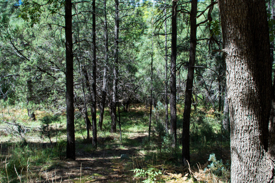 535 N Rim Trail Road, Payson, AZ 85541