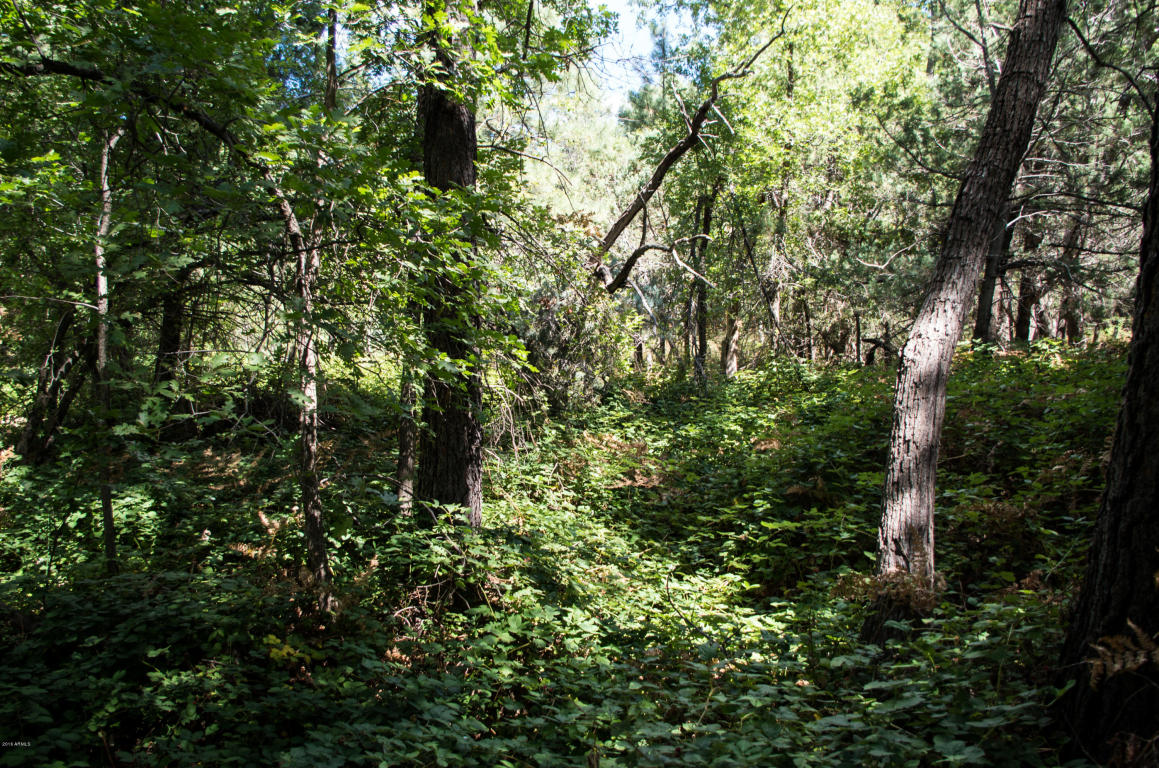 535 N Rim Trail Road, Payson, AZ 85541